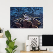 Schildkröte auf der Koralle Poster (Heimbüro)