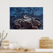 Schildkröte auf der Koralle Poster (Küche)