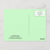 Schildkröte auf der Postkarte des Teiches (Rückseite)