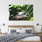 Schildkröte auf einem Baumstamm Leinwanddruck (Insitu (Schlafzimmer))