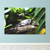 Schildkröte auf einem Baumstamm Leinwanddruck (Insitu (Holzboden))