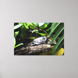 Schildkröte auf einem Baumstamm Leinwanddruck