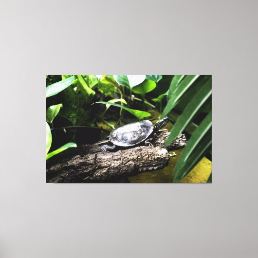 Schildkröte auf einem Baumstamm Leinwanddruck (Vorderseite)