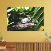 Schildkröte auf einem Baumstamm Leinwanddruck (Insitu (Wohnzimmer))