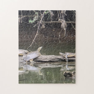 Schildkröte auf einem Baumstamm Puzzle