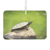 Schildkröte auf einem Stein Autolufterfrischer (Rückseite)