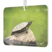 Schildkröte auf einem Stein Autolufterfrischer (Links)