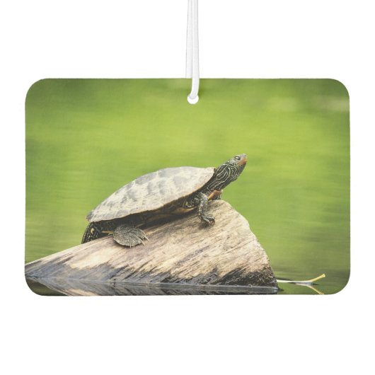 Schildkröte auf einem Stein Autolufterfrischer (Vorderseite)