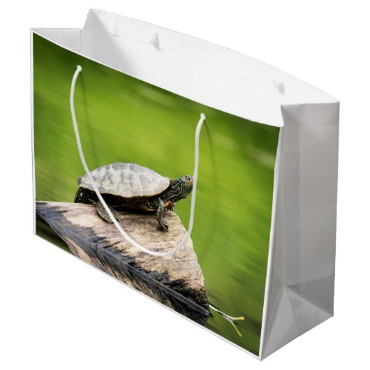 Schildkröte auf einem Stein Große Geschenktüte (Rückseite Schrägansicht)