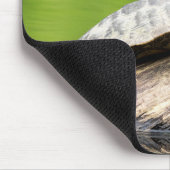 Schildkröte auf einem Stein Mousepad (Ecke)