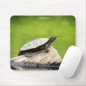 Schildkröte auf einem Stein Mousepad (Mit Mouse)