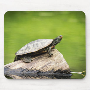 Schildkröte auf einem Stein Mousepad