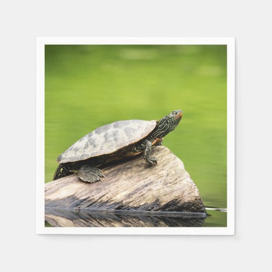 Schildkröte auf einem Stein Serviette (Vorderseite)