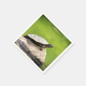 Schildkröte auf einem Stein Serviette (Ecke)