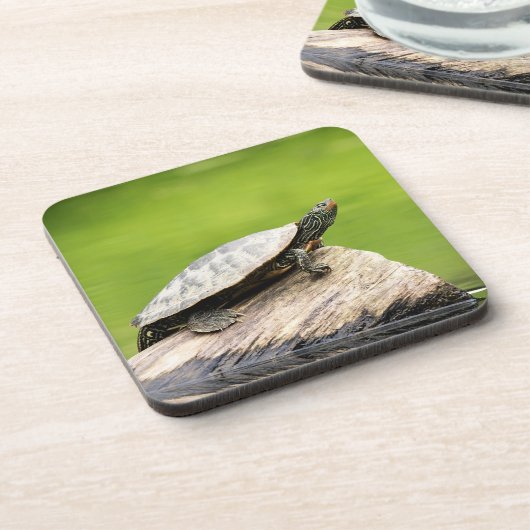 Schildkröte auf einem Stein Untersetzer (Linke Seite)