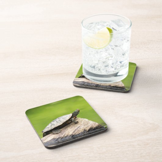 Schildkröte auf einem Stein Untersetzer (Rechte Seite)