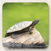 Schildkröte auf einem Stein Untersetzer (Vorderseite)