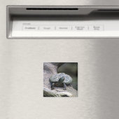 Schildkröte auf einem Zweig Magnet (In Situ (Geschirrspüler))