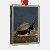 Schildkröte auf einem Zweig Silbernes Ornament (Rechts)