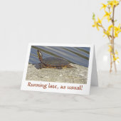 SCHILDKRÖTE AUF ROCK/BELATED GEBURTSTAG KARTE (Gelbe Blume)