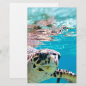 Schildkröte Briefpapier (Vorne/Hinten)