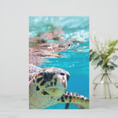 Schildkröte Briefpapier (Stehend Vorderseite)