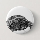 Schildkröte Button (Vorderseite)