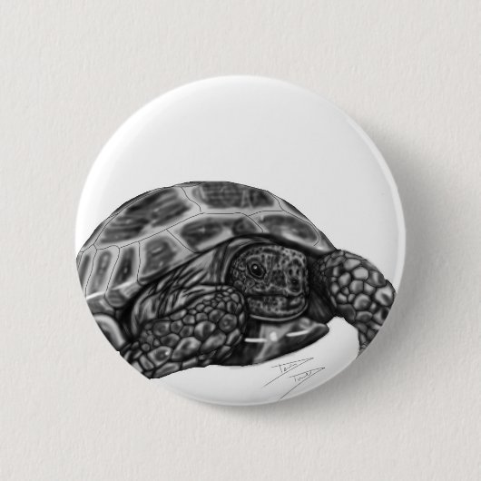 Schildkröte Button (Vorderseite)