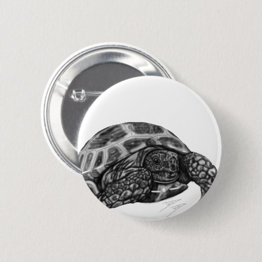 Schildkröte Button (Vorne & Hinten)