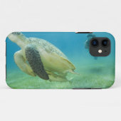 Schildkröte Case-Mate iPhone Hülle (Rückseite (Horizontal))