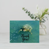 Schildkröte Danke, Postkarte (Stehend vorne)
