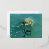 Schildkröte Danke, Postkarte (Vorderseite/Rückseite)