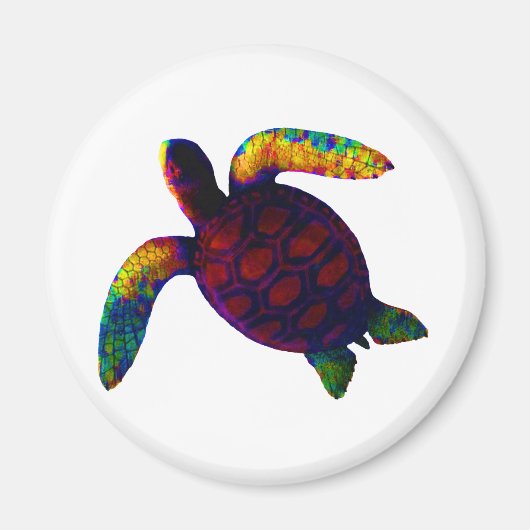 Schildkröte das MUSEUM Zazzle Geschenke Magnet (Vorne)