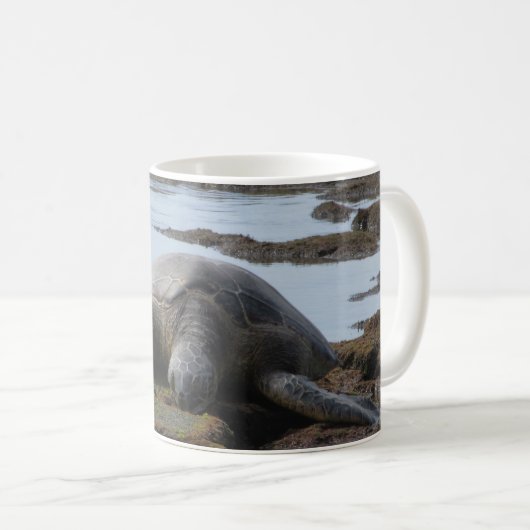 Schildkröte, die auf den Felsen stillsteht Kaffeetasse (VorderseiteRechts)