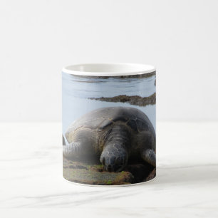 Schildkröte, die auf den Felsen stillsteht Kaffeetasse