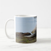 Schildkröte, die auf den Felsen stillsteht Kaffeetasse (Links)