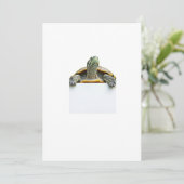 Schildkröte Einladung (Stehend Vorderseite)