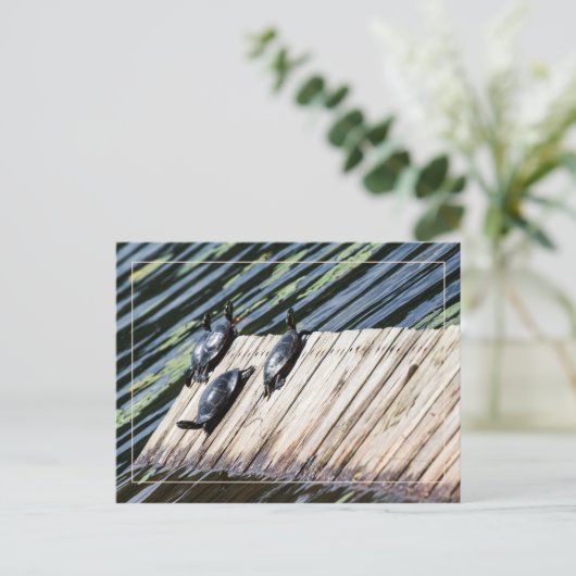 Schildkröte-Erholung Postkarte (Stehend Vorderseite)