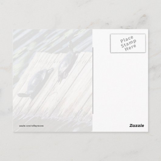 Schildkröte-Erholung Postkarte (Rückseite)