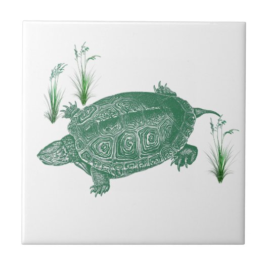 Schildkröte Fliese (Vorderseite)