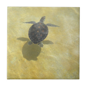 Schildkröte-Fliese Fliese