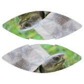 Schildkröte Football (Paneele)