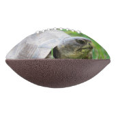 Schildkröte Football (Gedreht 90)