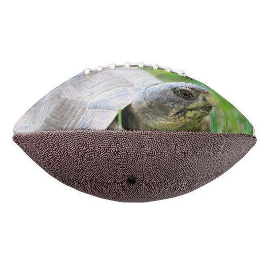 Schildkröte Football (Gedreht 270)