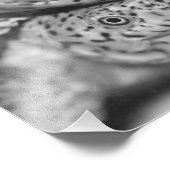 Schildkröte, Foto (Ecke)