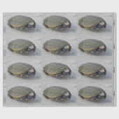Schildkröte-Foto Geschenkpapier (Flach)