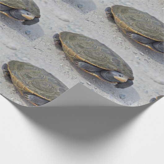 Schildkröte-Foto Geschenkpapier (Ecke)