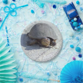 Schildkröte-Foto Pappteller (Party)