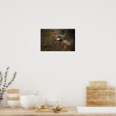 Schildkröte-Foto-Poster Poster (Küche)