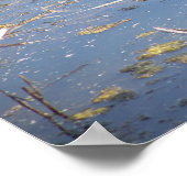 Schildkröte-Foto-Poster Poster (Ecke)